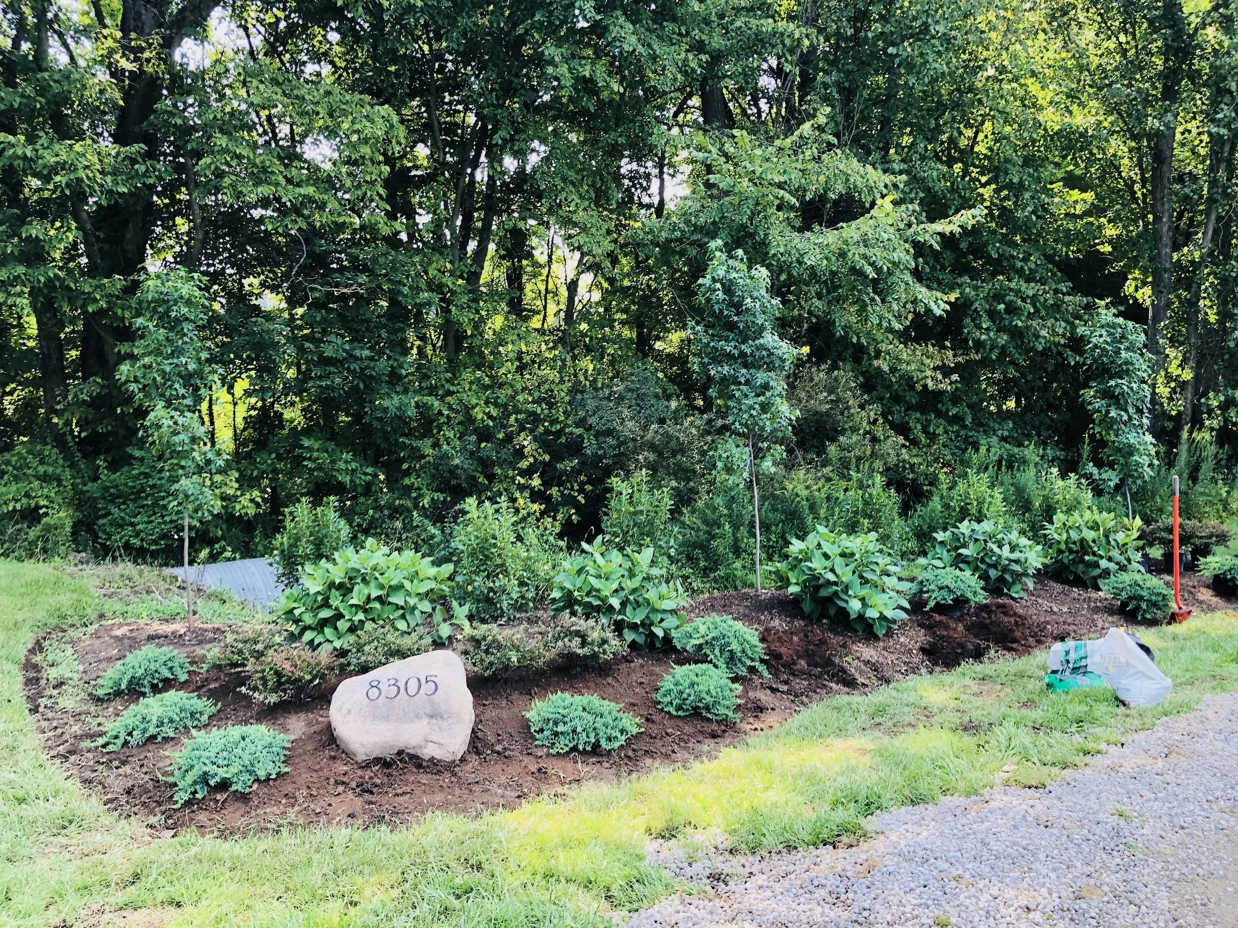 Tour of Eddybrook Tree Farm