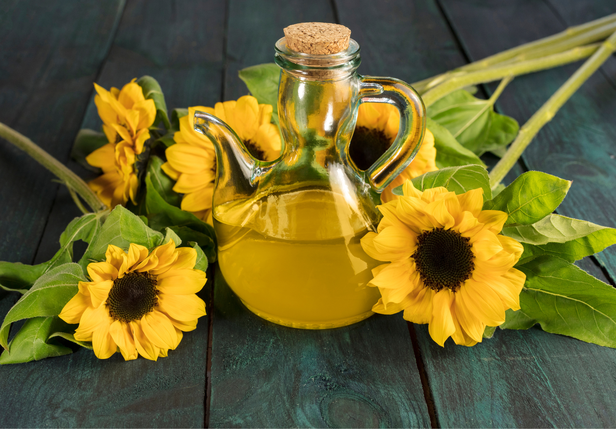 sunflower oil food ingredient supplier.png