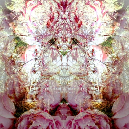 FLO 1