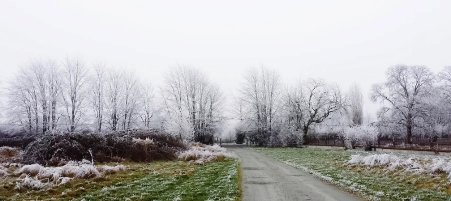20160103_145234.jpg