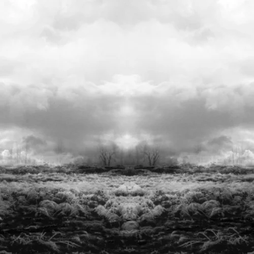 BW 111