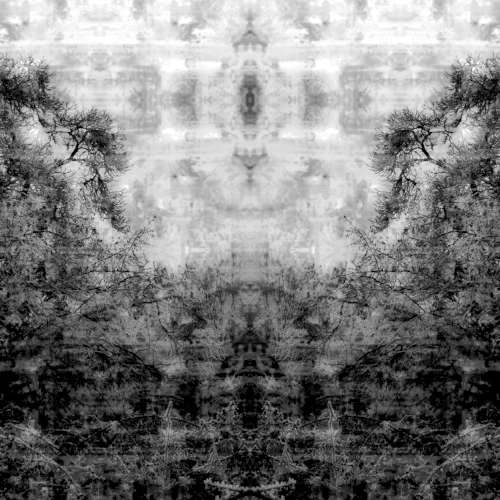 BW V11