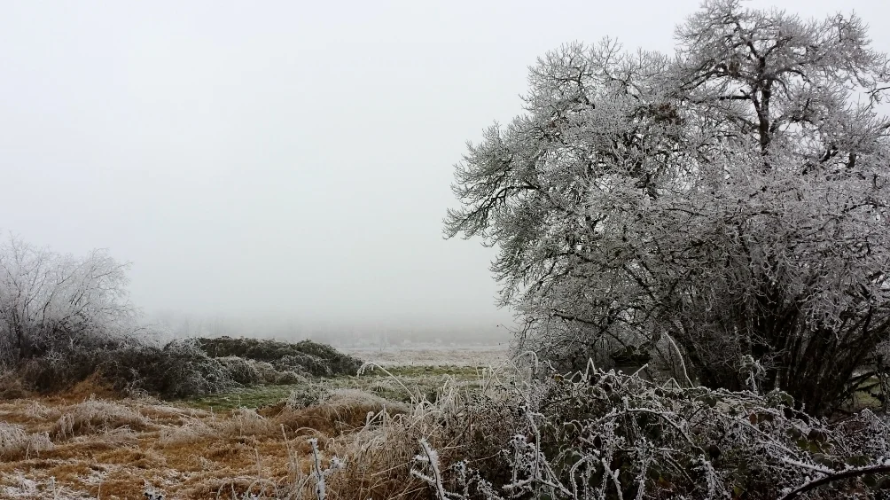 20160103_144827.jpg