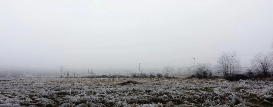 20160103_145225.jpg