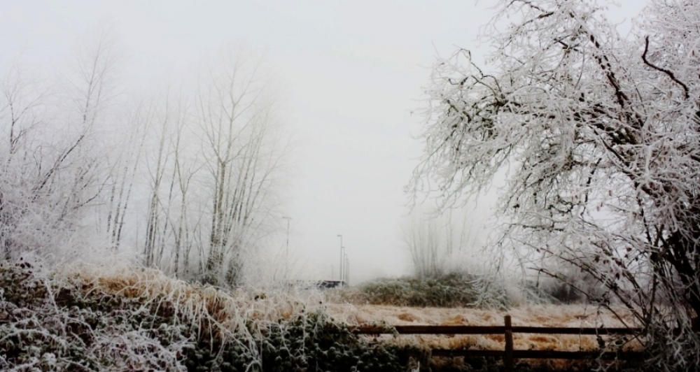 20160103_144906.jpg