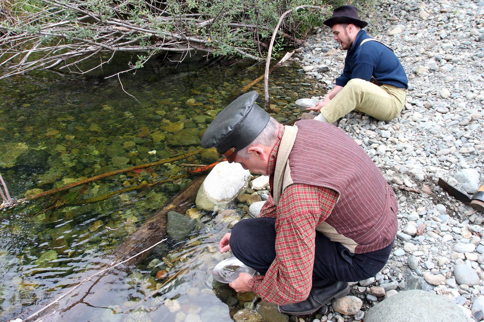 Even though the original gold rush here didn't last very long, there is still some recreational gold mining being done here and a century and a half later some quantities of fine gold and flake are still being found...