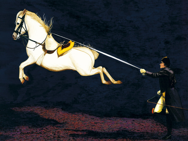 Coercion can produce spectacular feats, yet the dominance of whip, spur and leveraged bits is deeply unethical and unnecessary with such sensitive creatures.