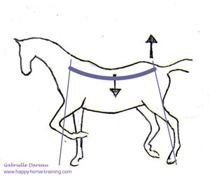 A tense back pushes the hocks outward, and the horse throws weight onto the strong forehand instead, ruining the horse's natural balance