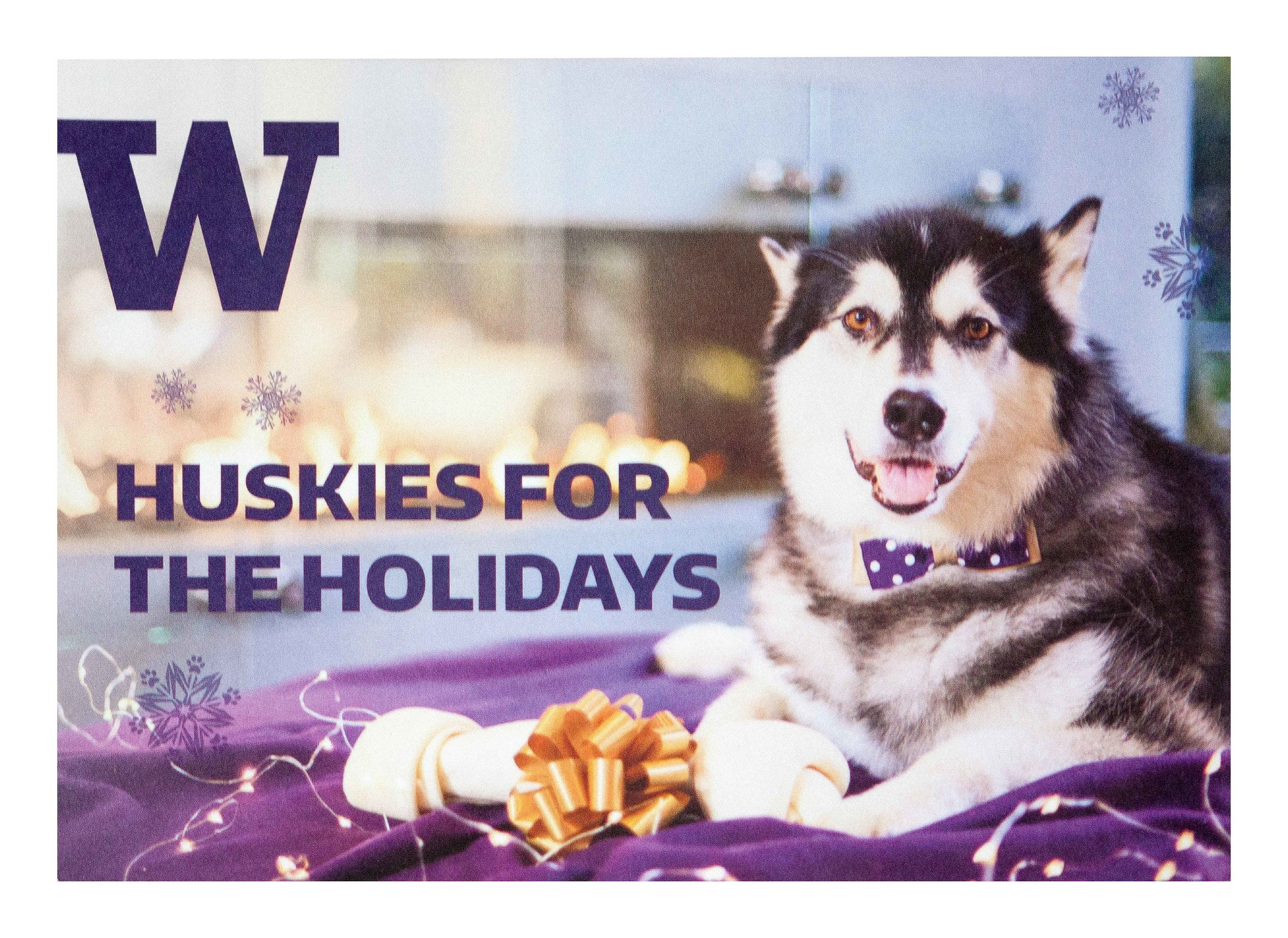 University+of+Washington+Huskies+Holidays+2015+2016+Postcard+UWAA+Alumni+Association+Dubs+Mascot.jpeg