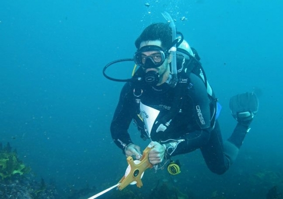  From honours degree to a deep dive into the abalone industry