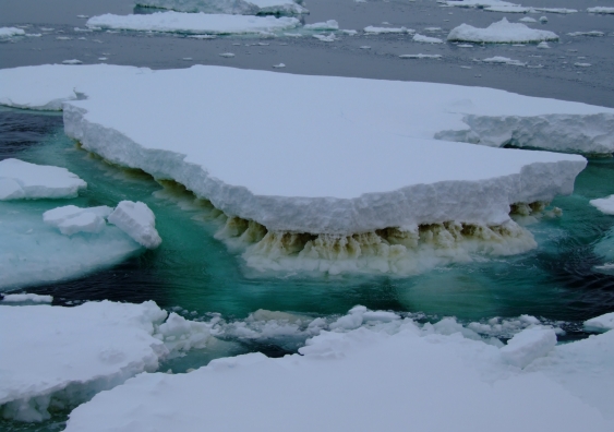 Leaving microbes out of climate change conversation has major consequences, experts warn