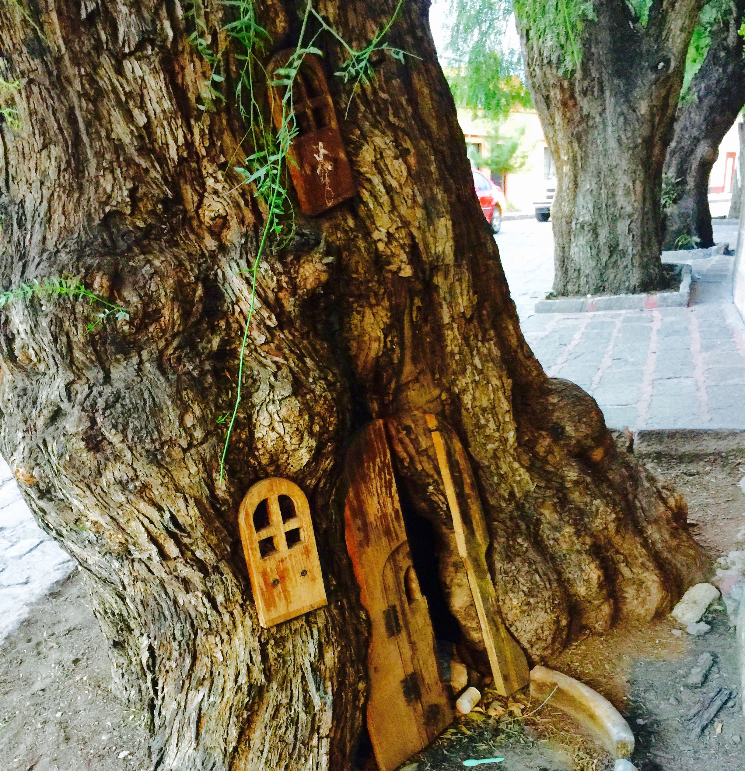 A little tree, with a little door, with another little door, that I get to pass daily in Guadelupe, an artist village full of families and great local arts and food.
