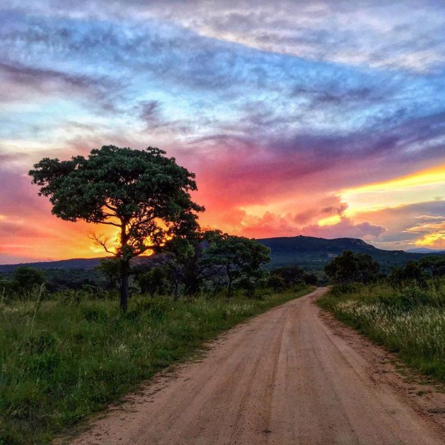 Photo taken from a year of 2016 photos throughout her African travels.