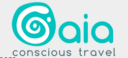 Their awesome logo. :)