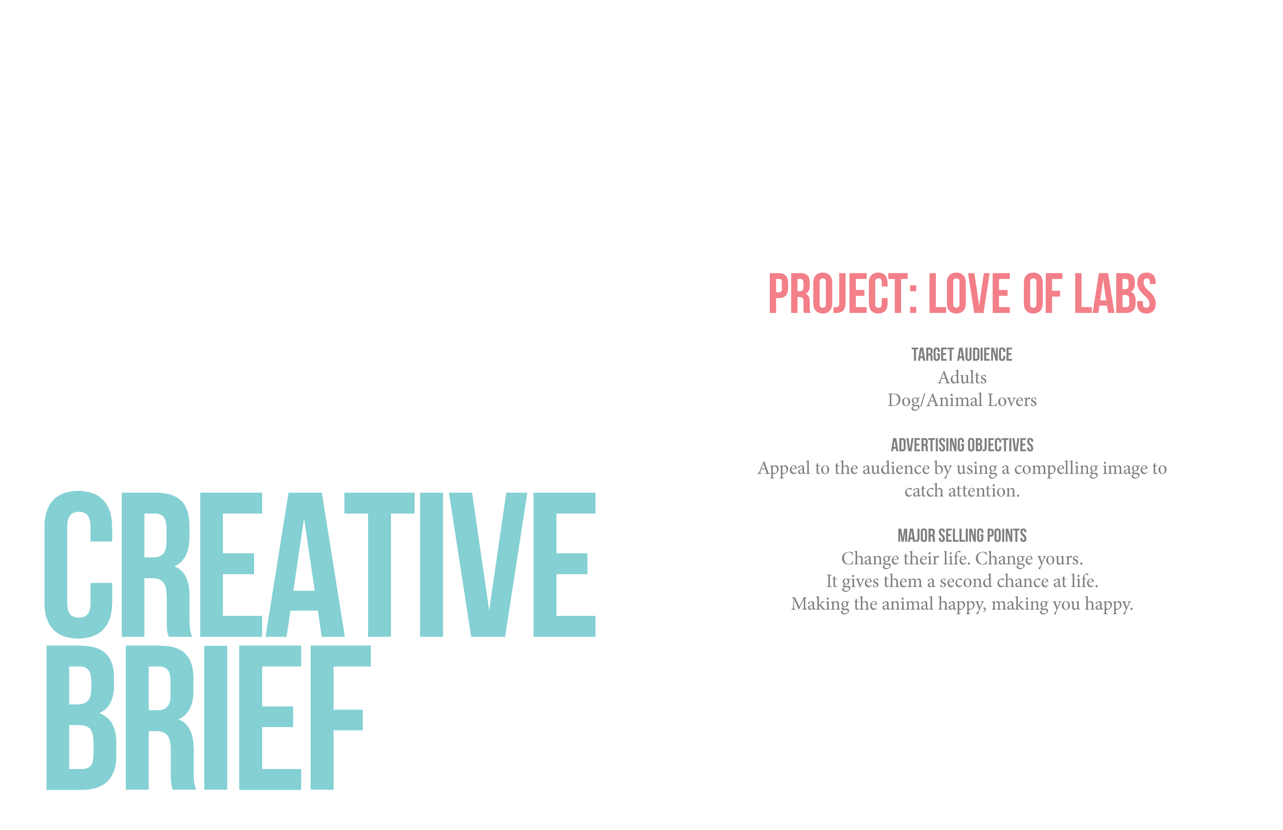 AADI_MSawa_AdoptionProcessBook4.png