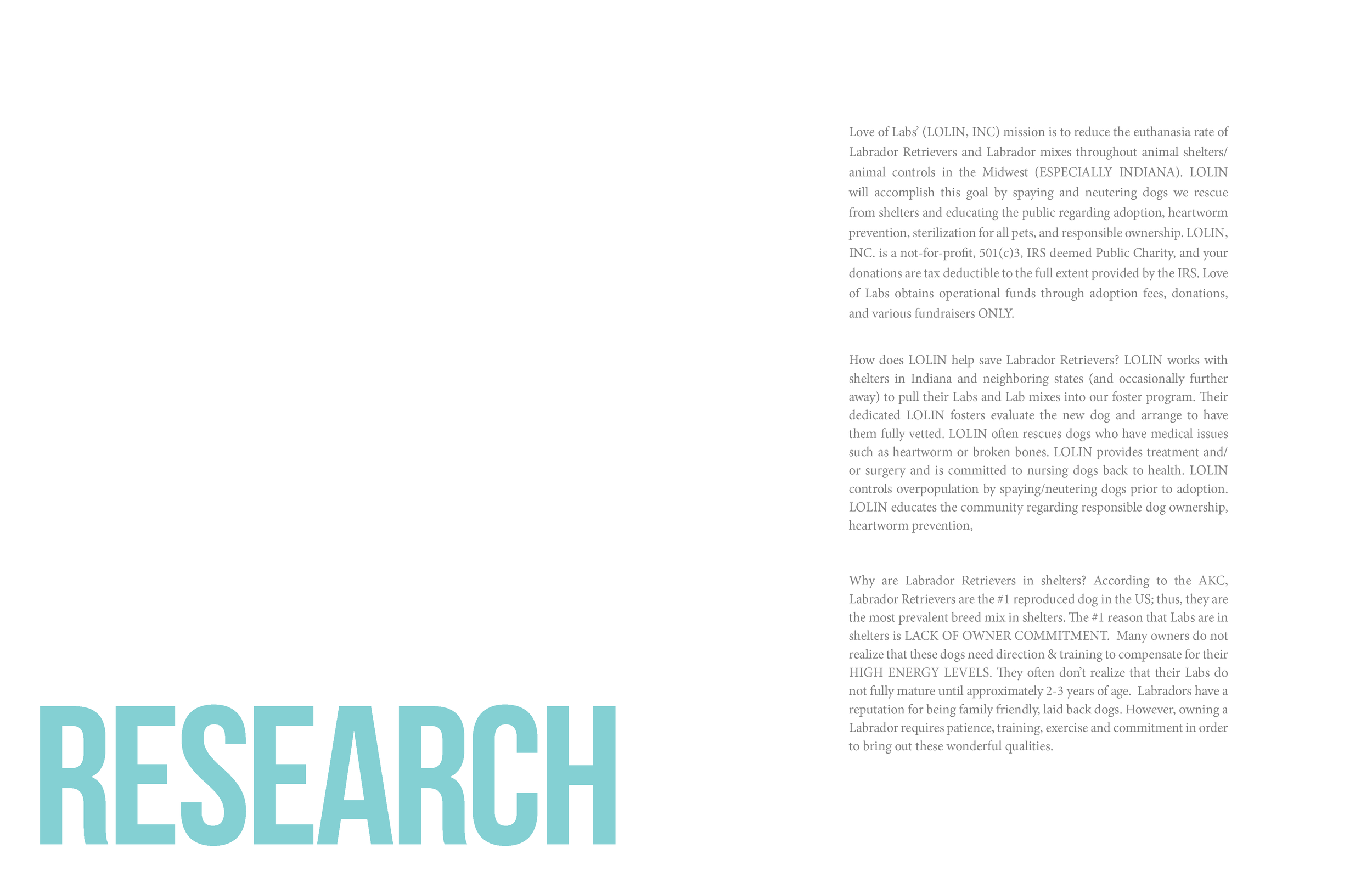AADI_MSawa_AdoptionProcessBook5.png