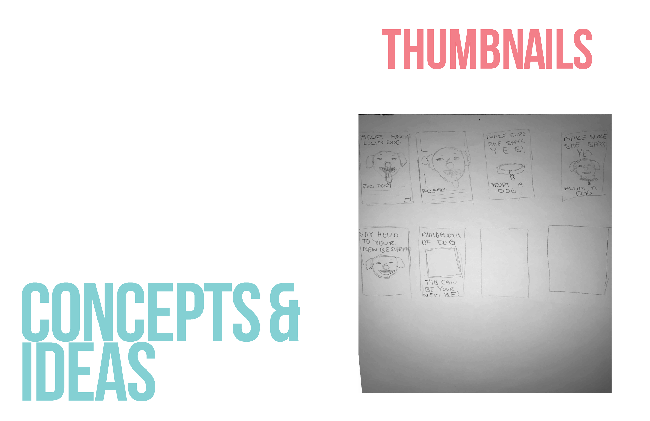 AADI_MSawa_AdoptionProcessBook8.png