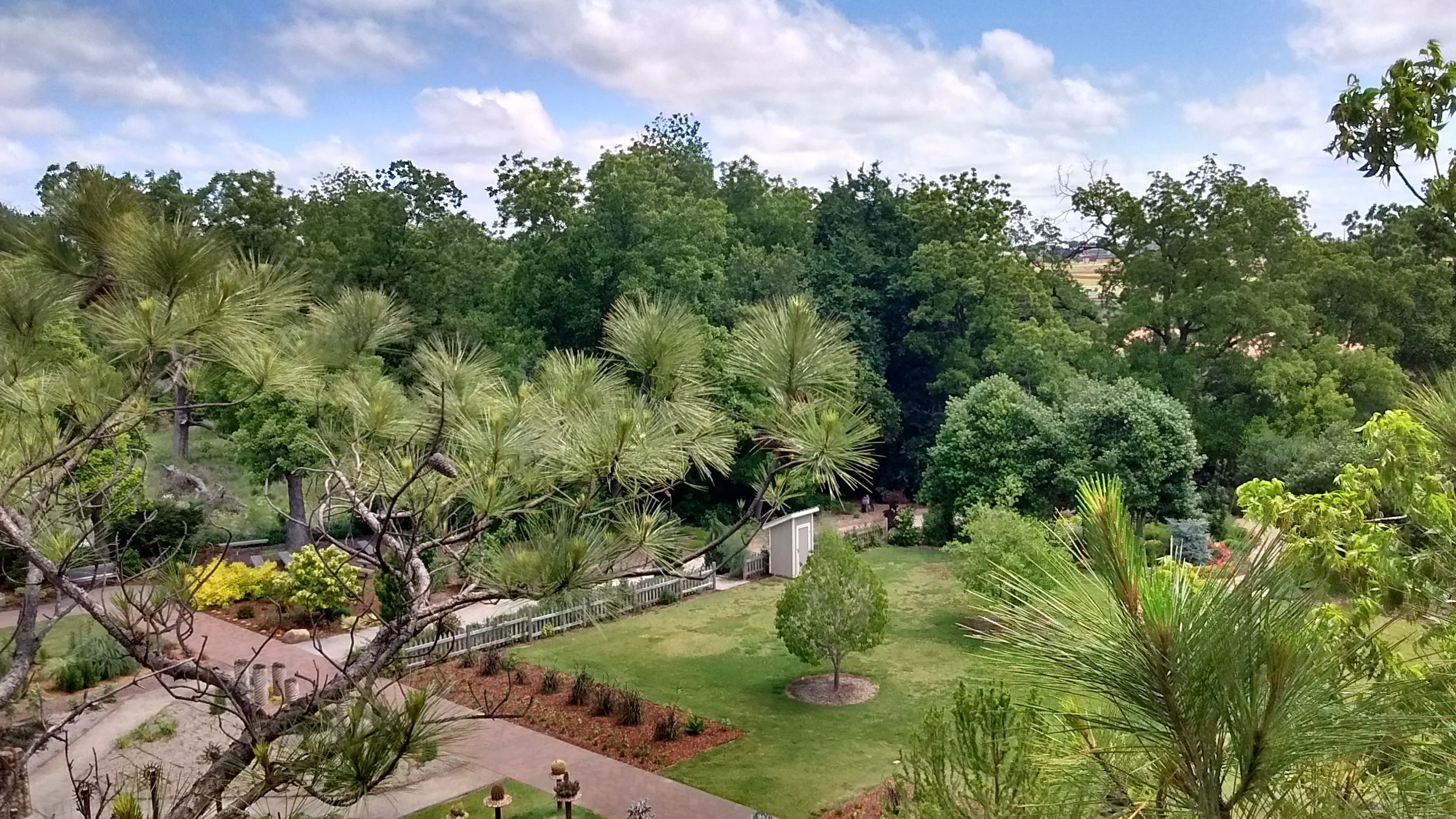 Garden1.jpg