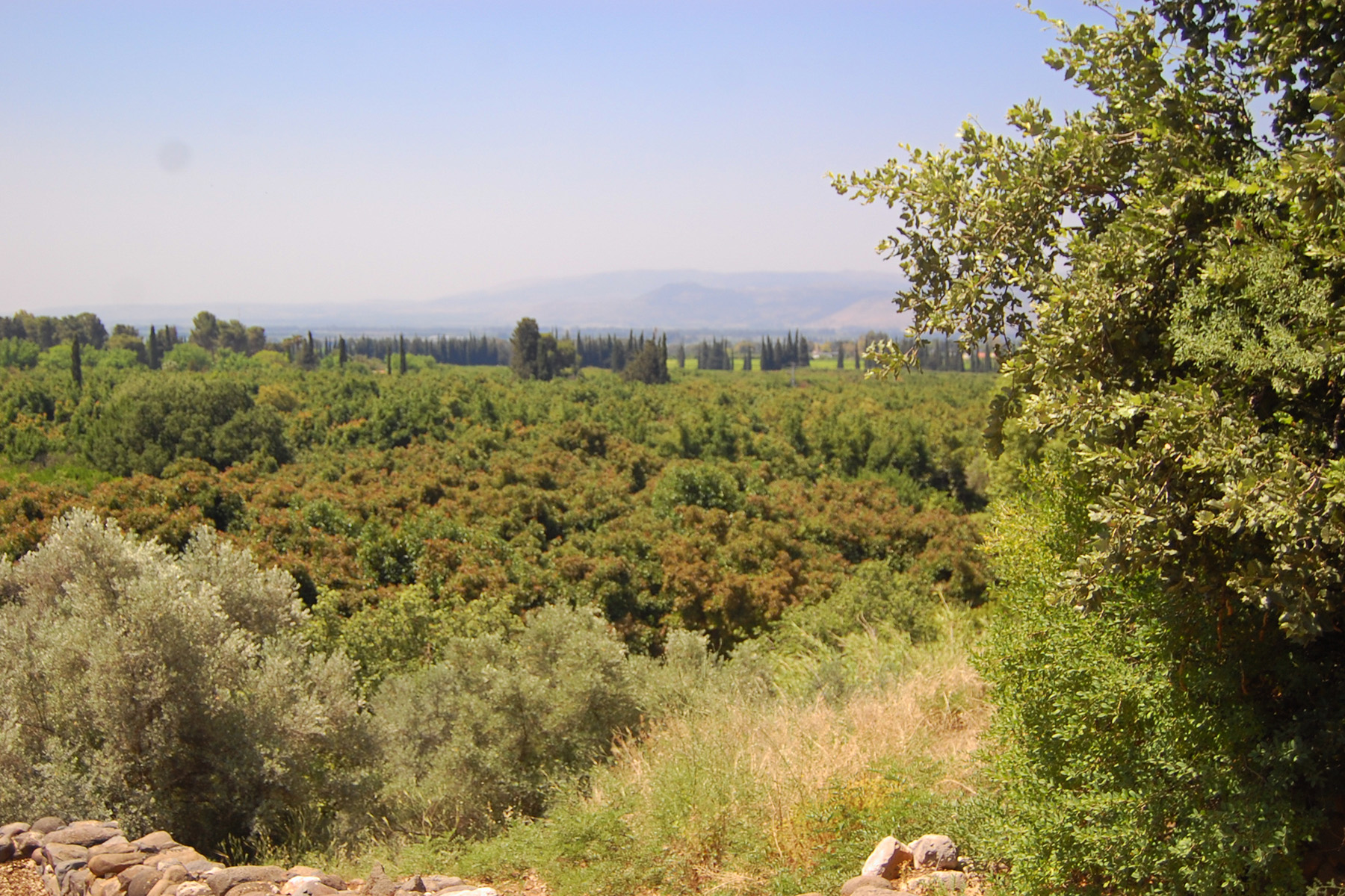 the sin that could cost you everything