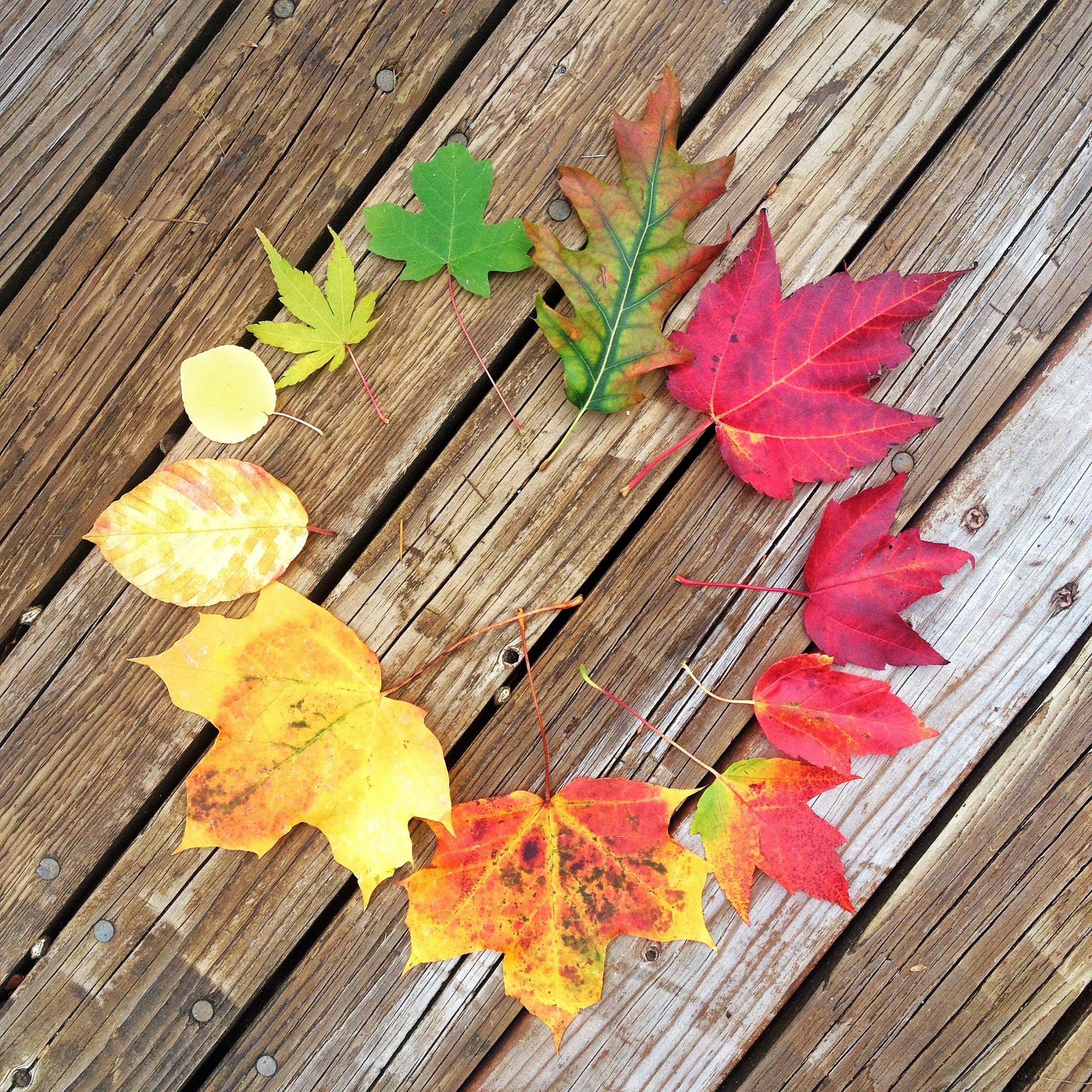 get behind me, satan