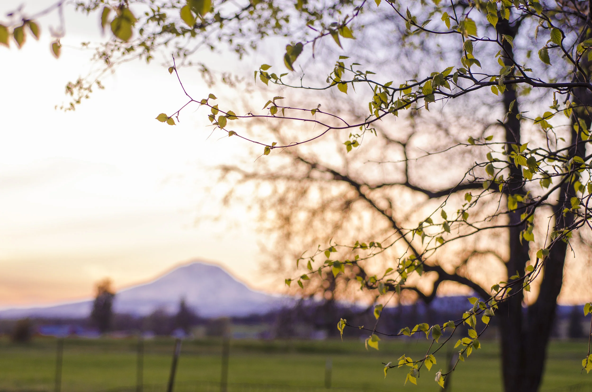 remember the Lord // week eighteen