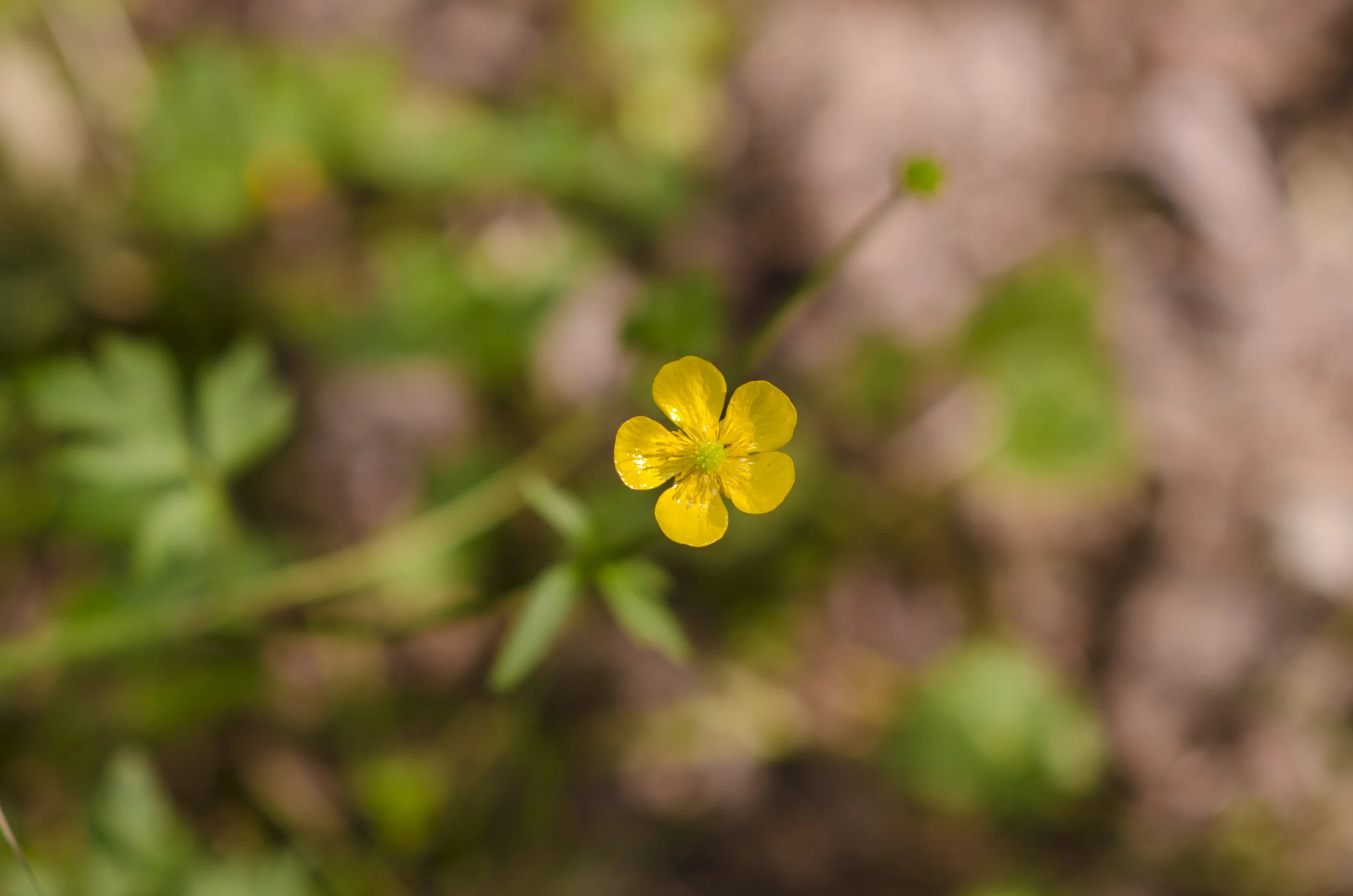 things I should've known