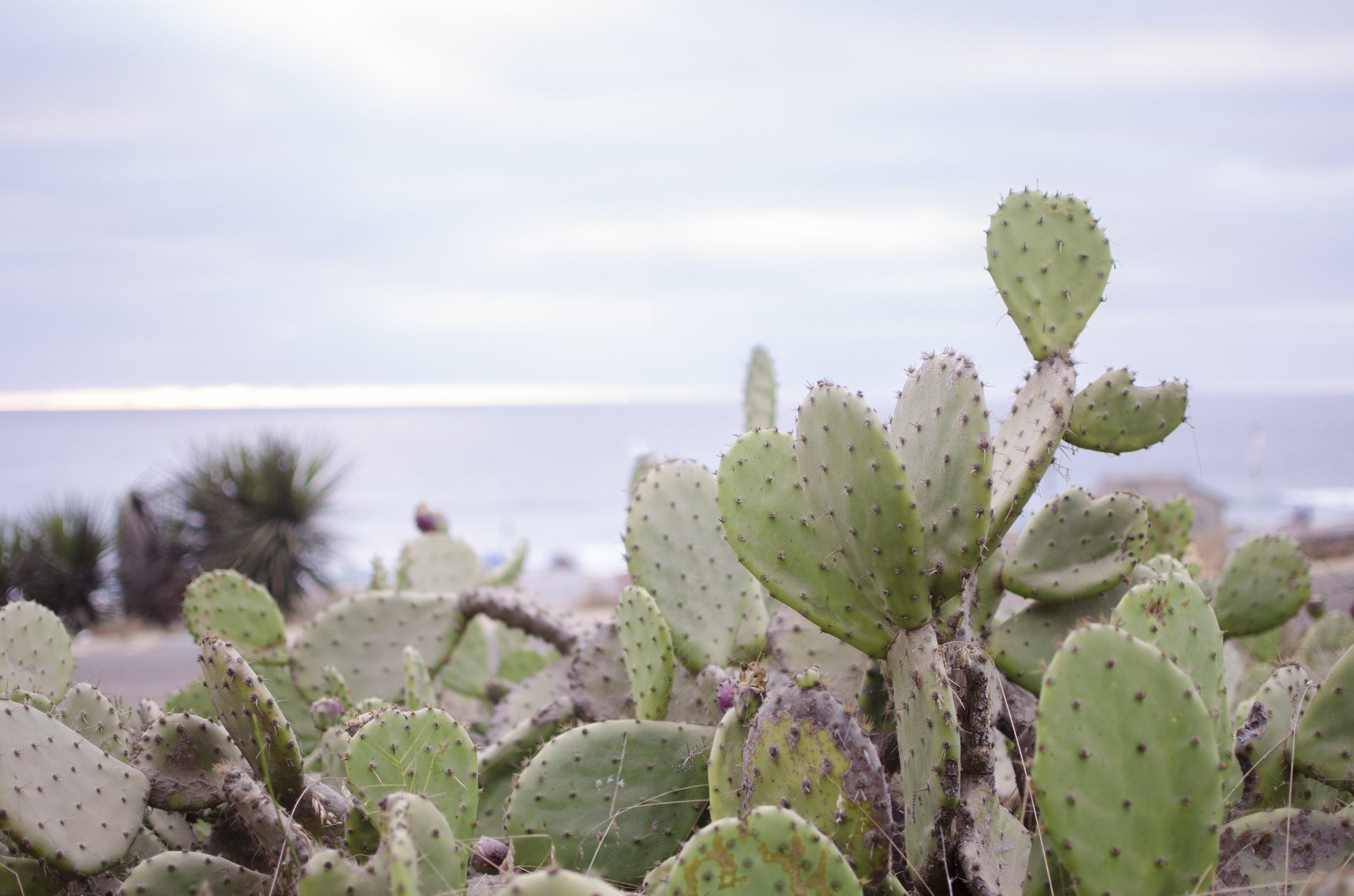 what are you doing here, Elijah?