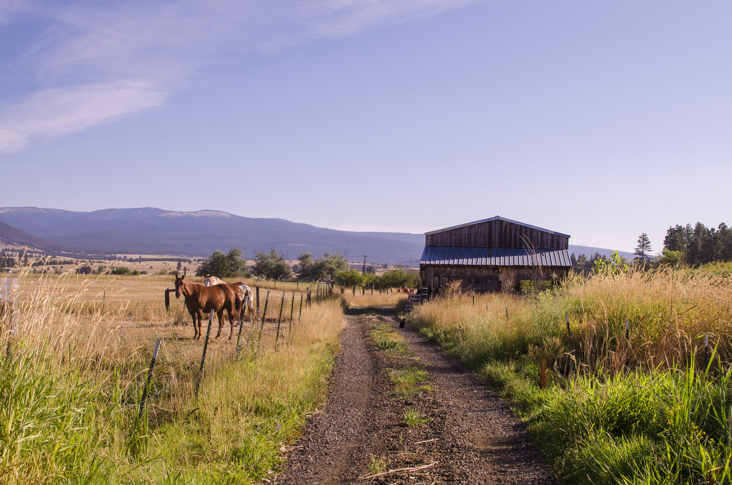 who among you is wise?