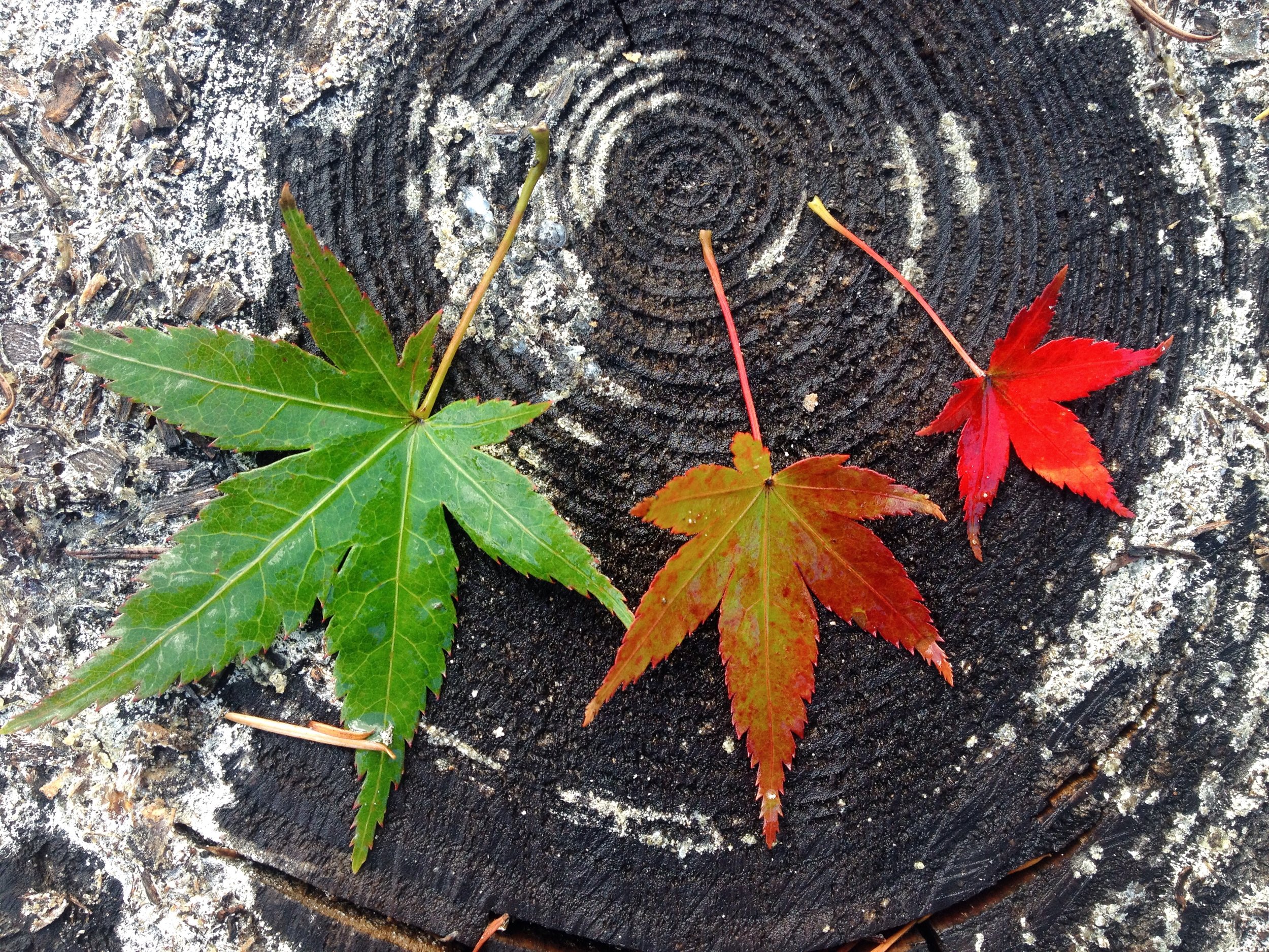 things people need to stop saying: "it doesn't matter"