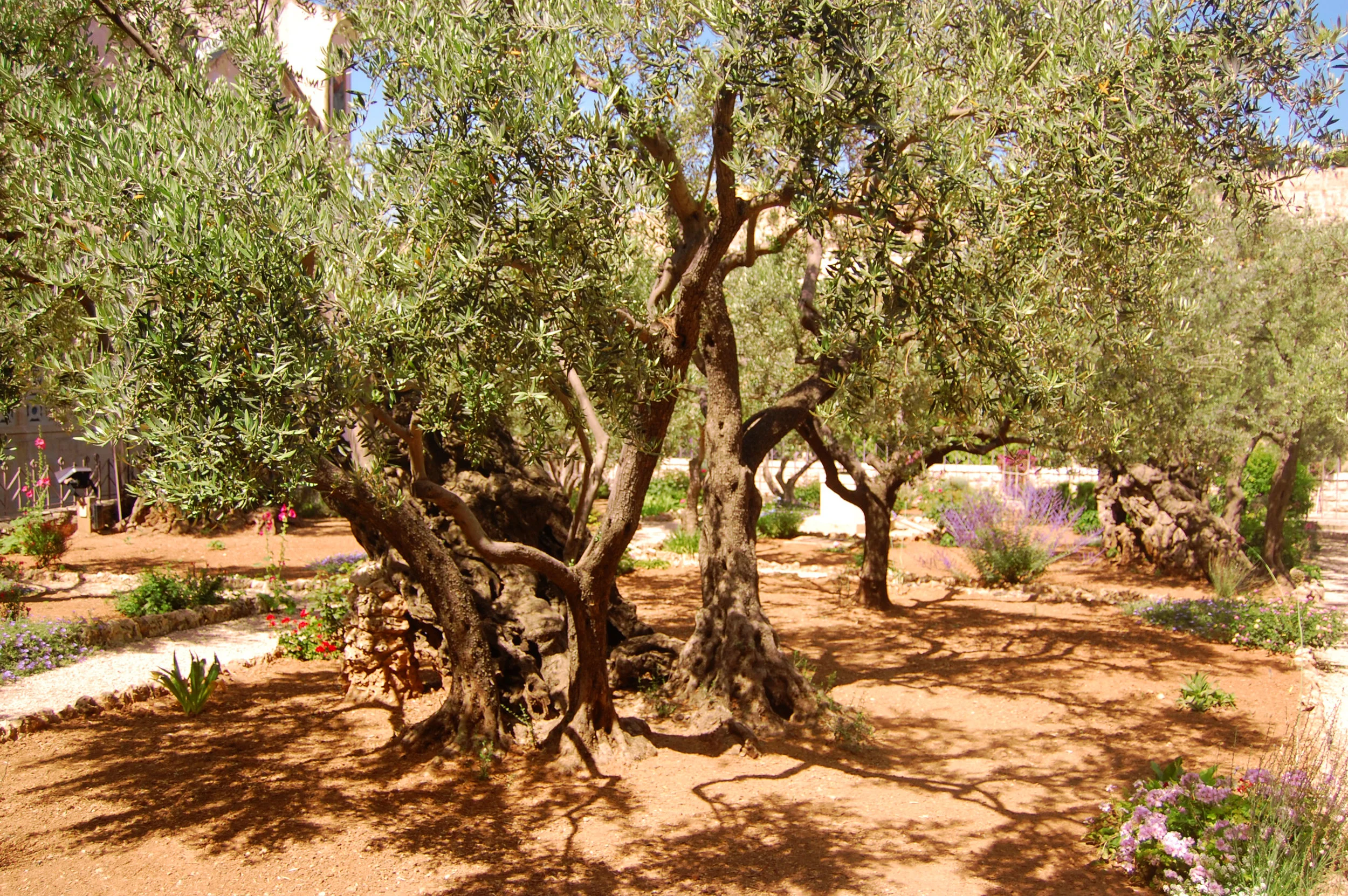 day 15: Christ, the Living One