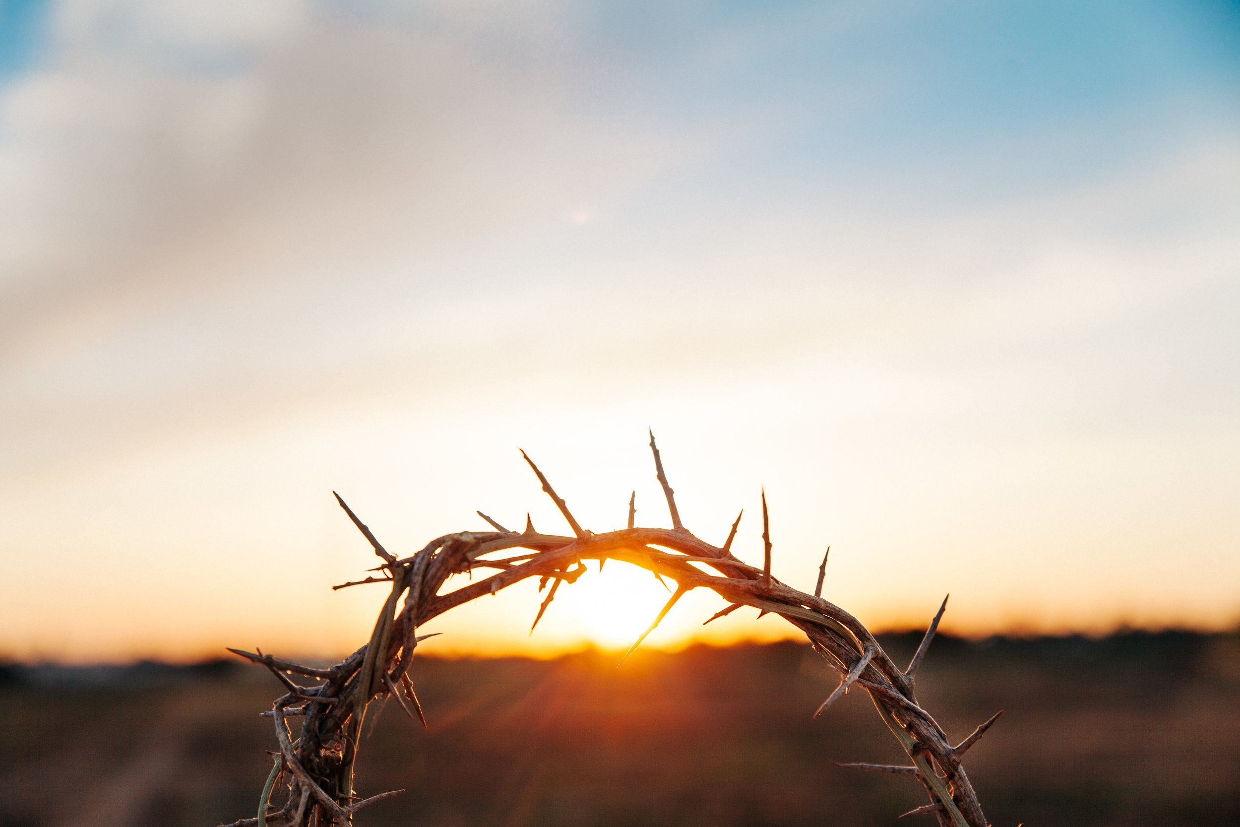 day nine: Christ, the Messiah