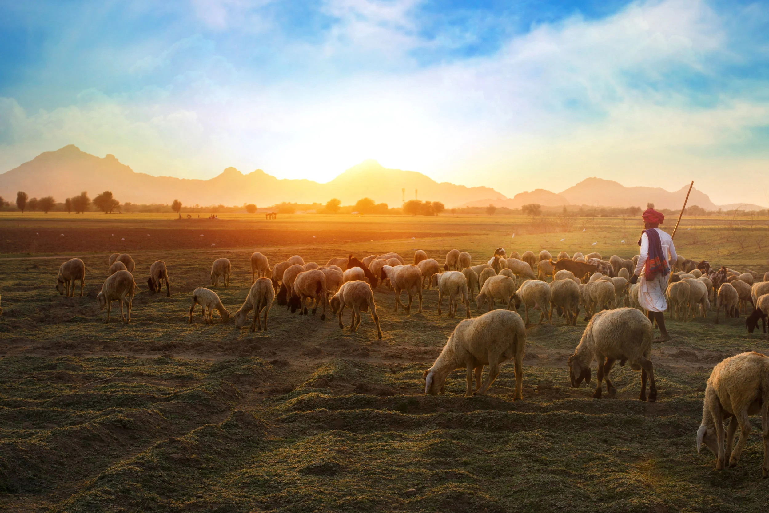 day 20: Christ, the Good Shepherd