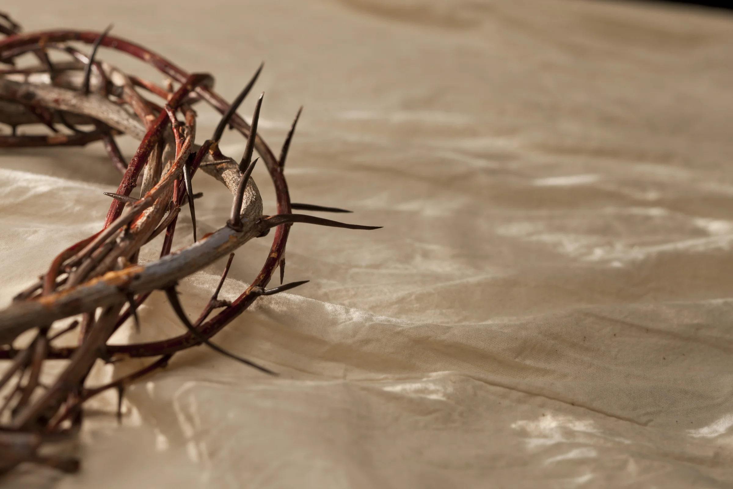 day 23: Christ, the King of Kings & Lord of Lords