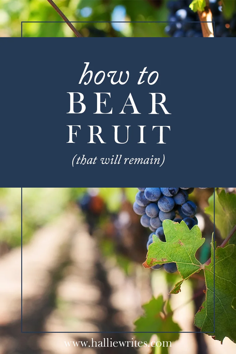 To Bear Fruit Definition And Meaning – UTZN