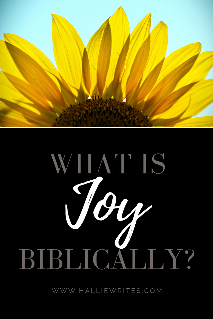 biblical vocabulary joy — Hallie writes