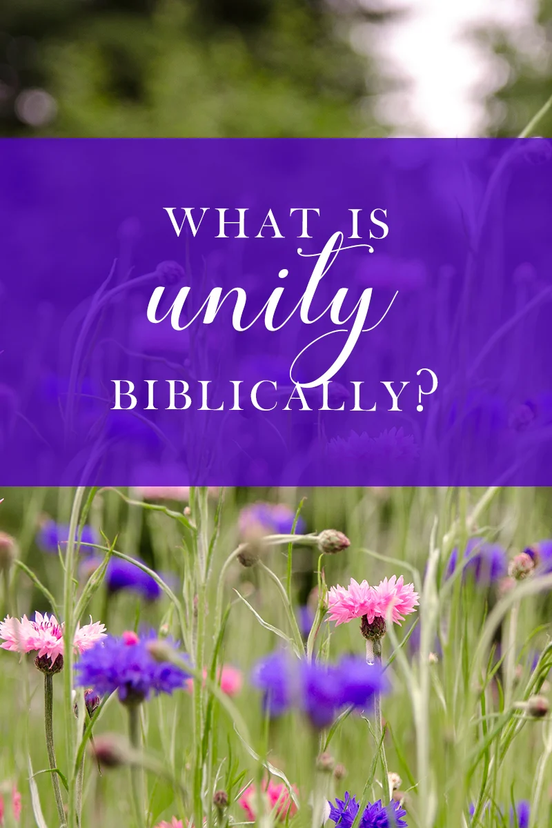 biblical vocabulary unity — Hallie Writes
