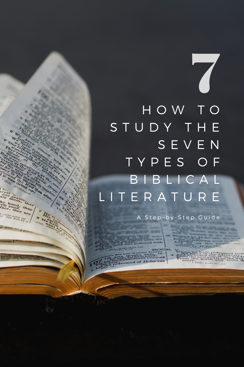 Bedrock: A Foundation for Independent Biblical Study — Hallie writes