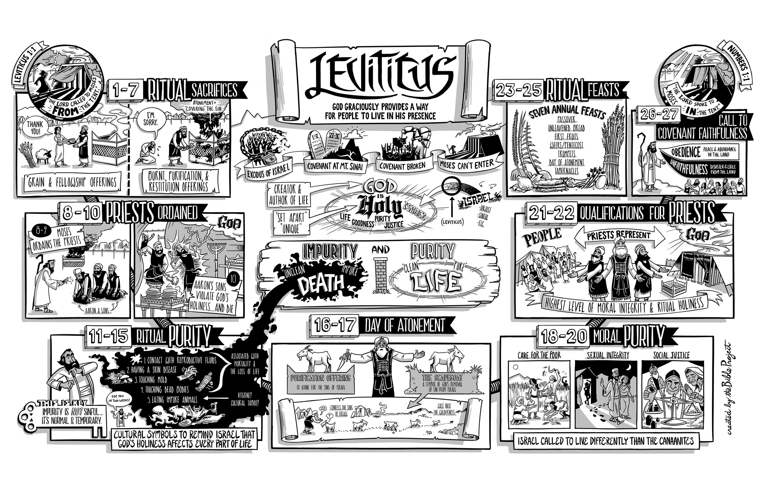 BibleProject: Leviticus (Video)