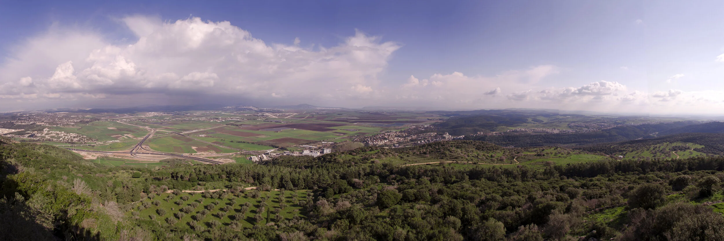 Israel38 print2.jpg