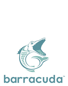A logo for Barracuda Fiberglass Logo Design