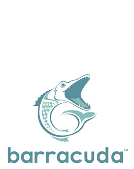  A logo for Barracuda Fiberglass     Logo Design  