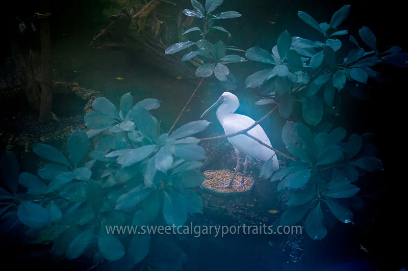 DSC_0124-web-water.jpg