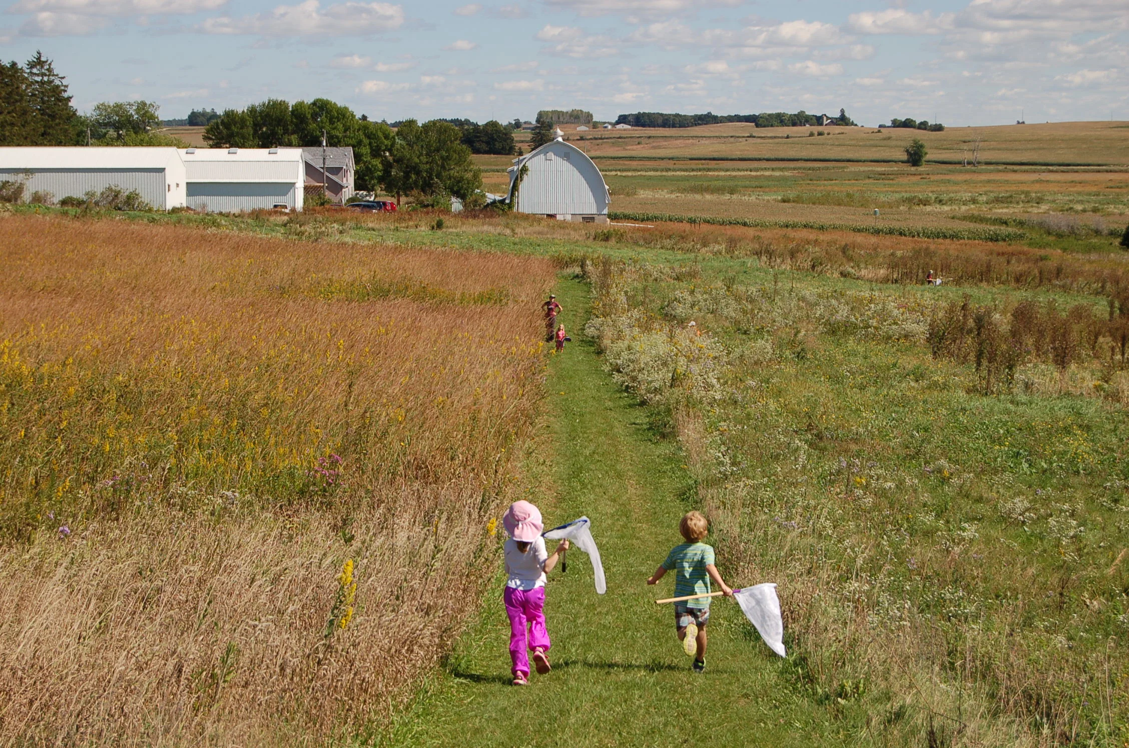 Emily Meier_Butterfly Chasing.JPG