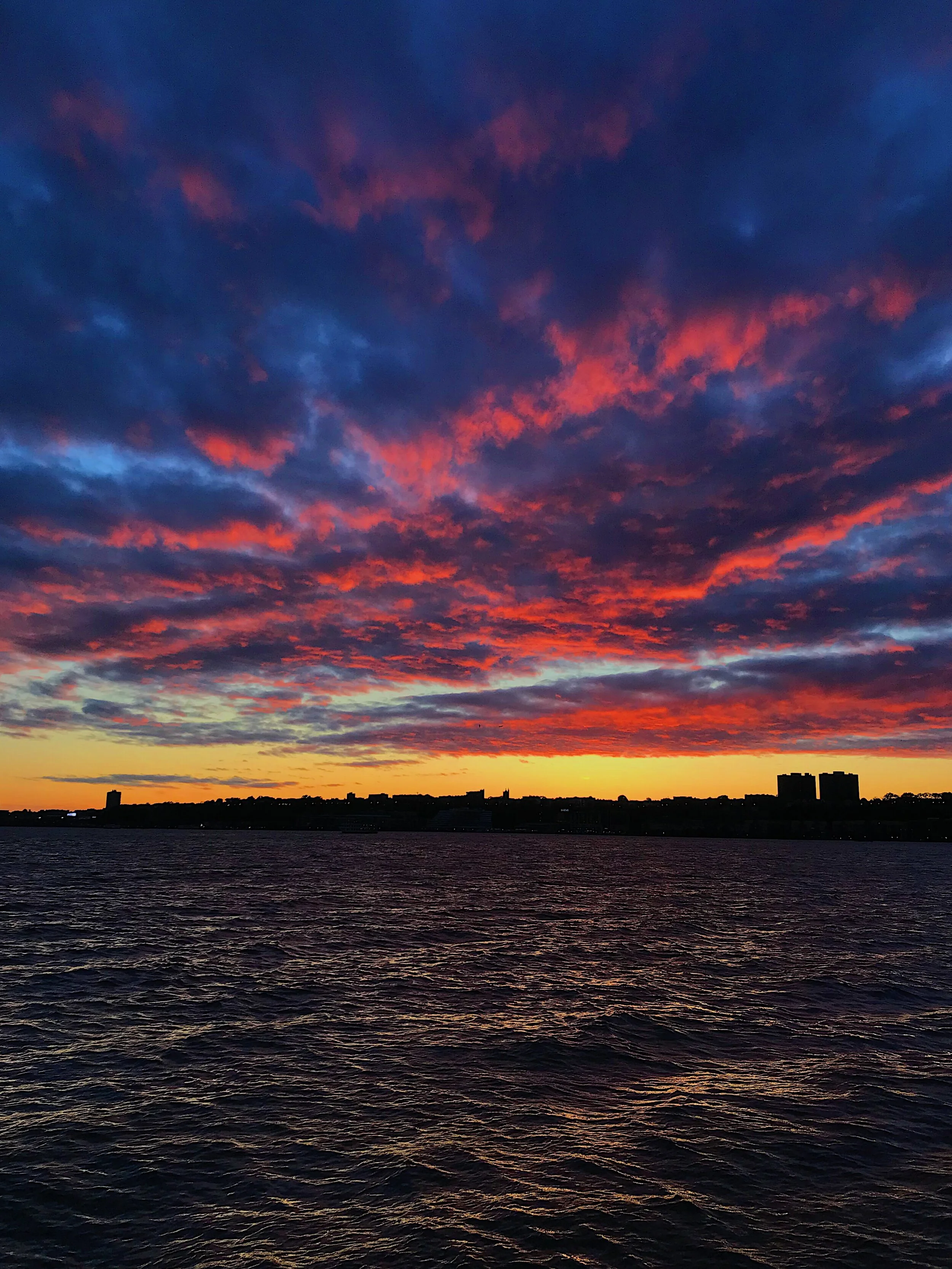 How does nature even create such intensely vibrant colours?! Truly awe-some.
