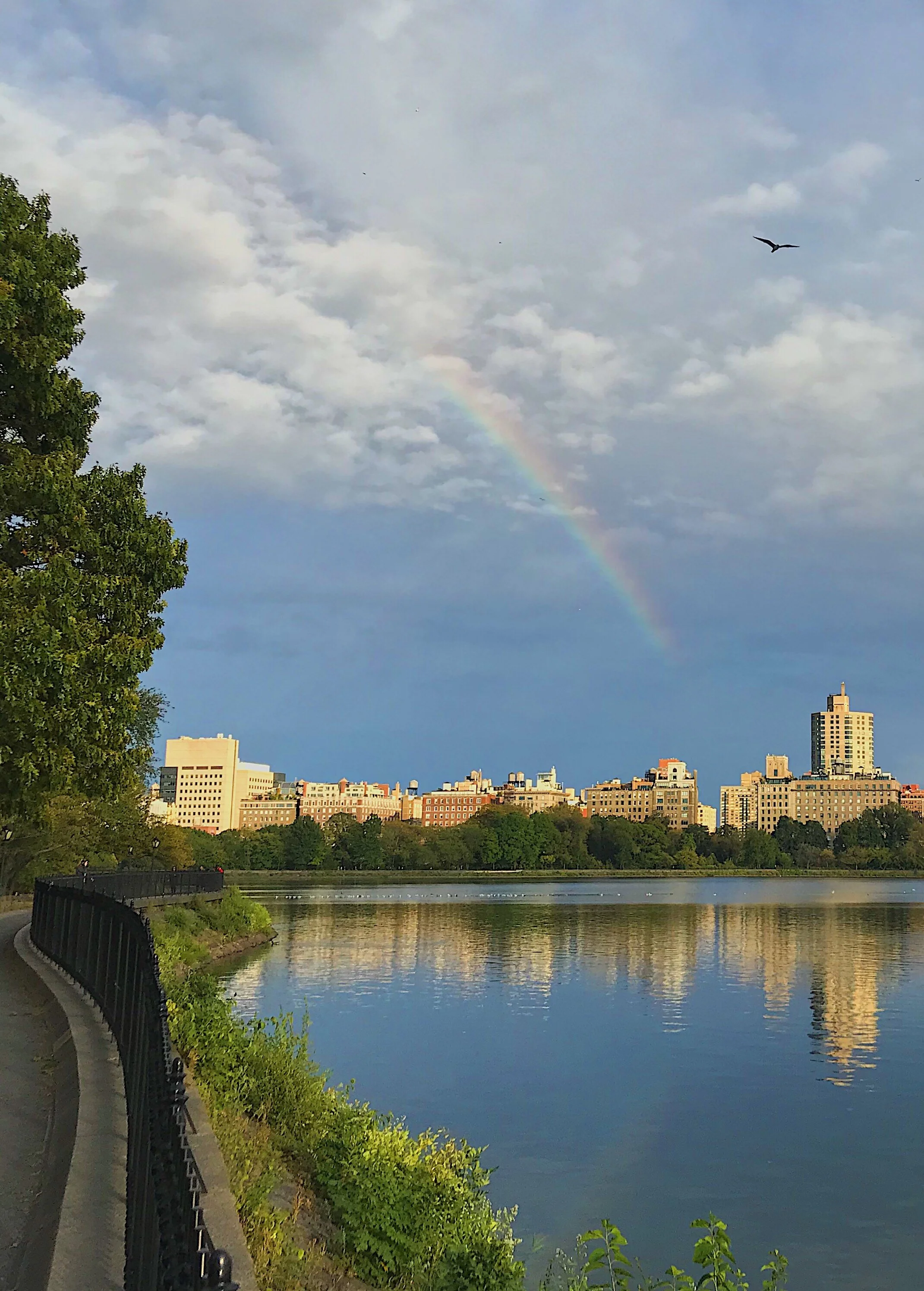 A close-up on that rainbow — and a seagull flying by. Both of these things remind me that, like every feeling, good or bad, moments are fleeting and will pass by before you know it. :)