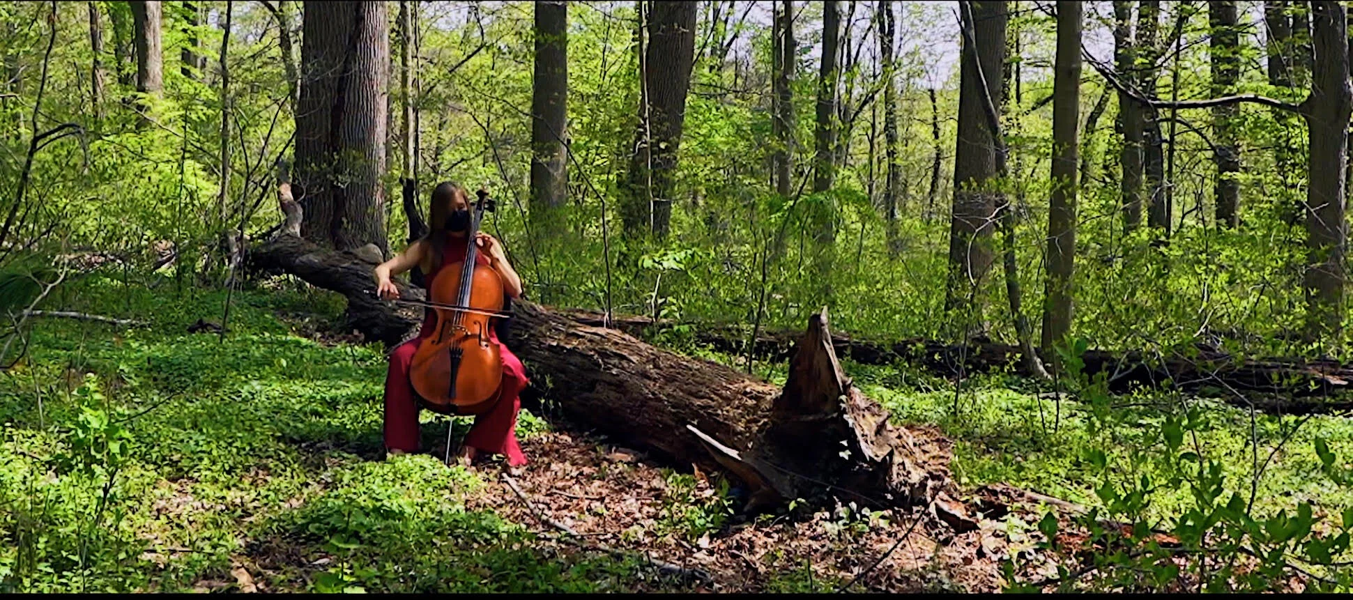 Ordway Nineteen (My New Album!)