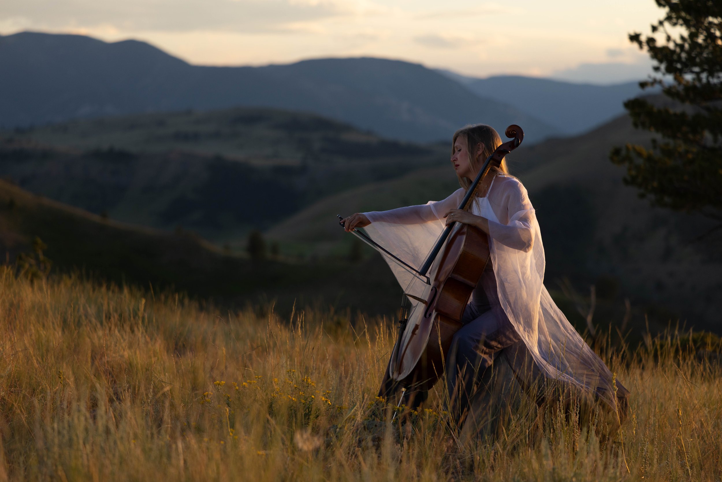 Puddingstone Festival presents: Arlen Hlusko