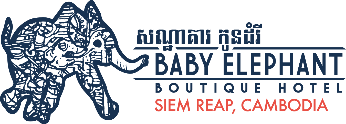 Baby Elephant