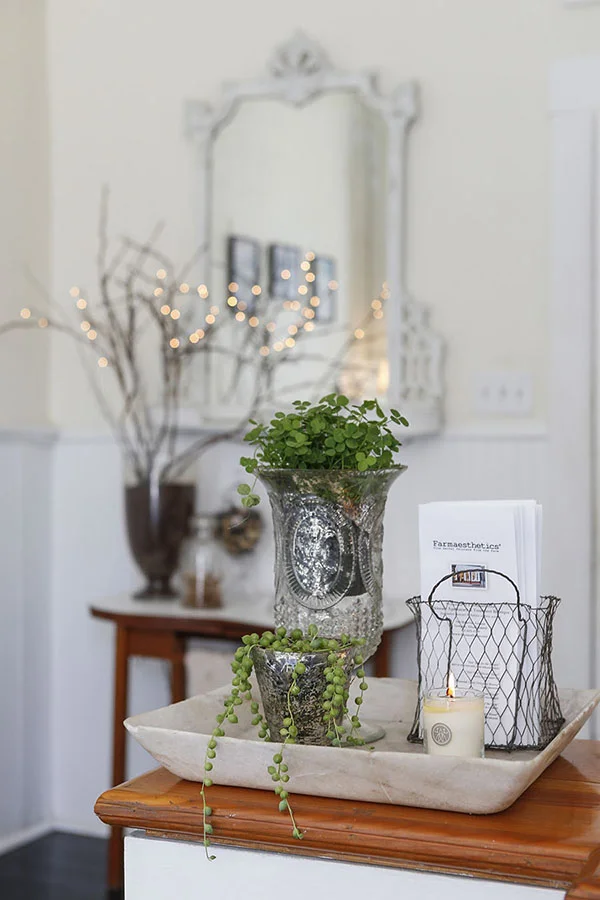 farmaesthetics-blog-post-14b.jpg