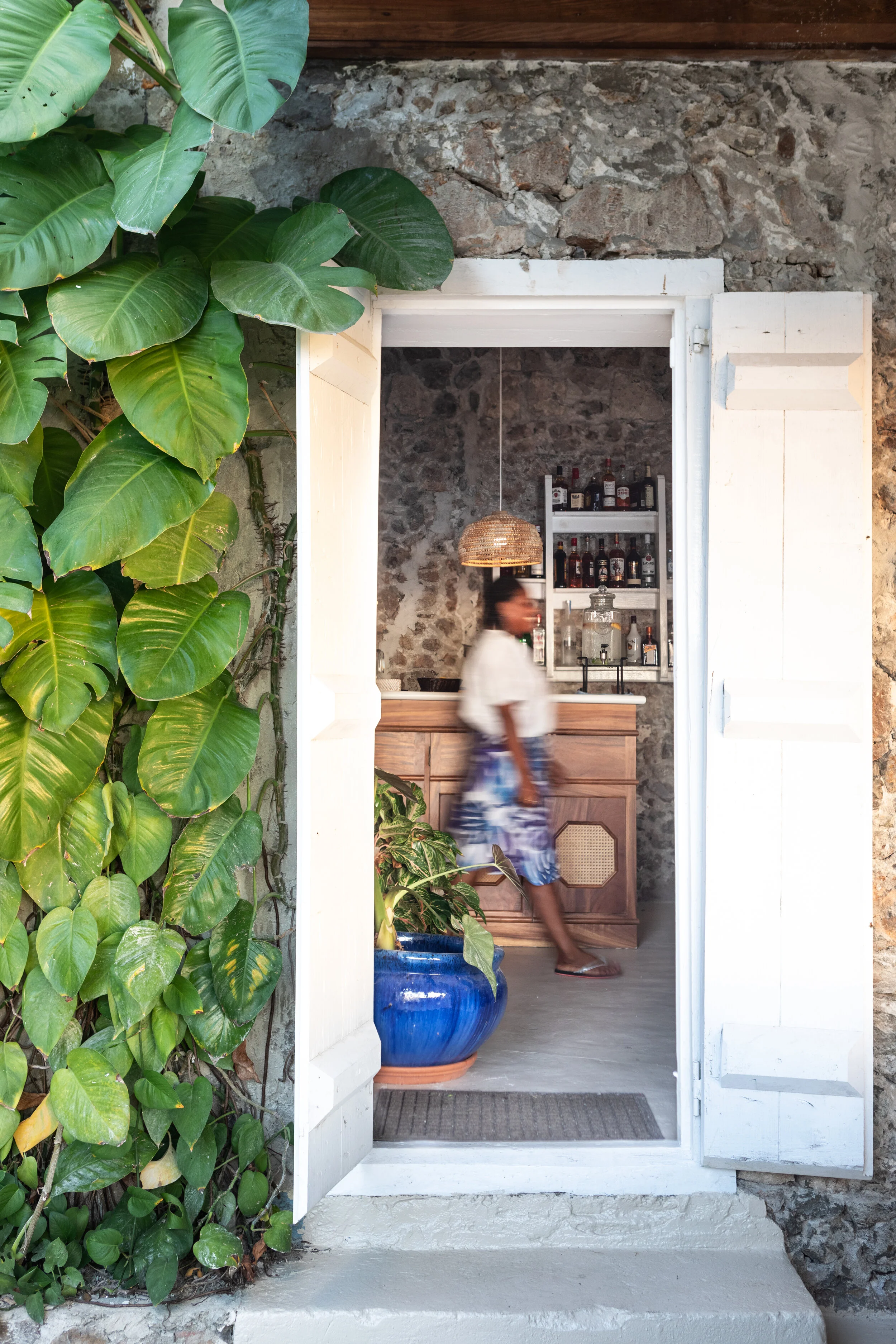 Guana Collection -36.jpg